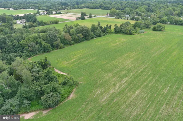 a view of a green field with clear sky