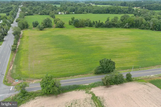 a view of a green field with lots of bushes