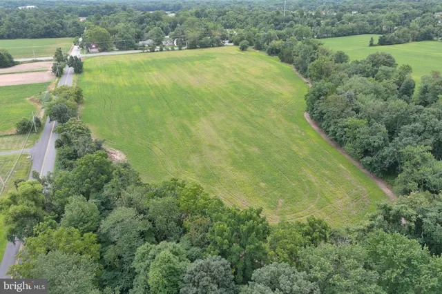 a view of a grassy field with trees