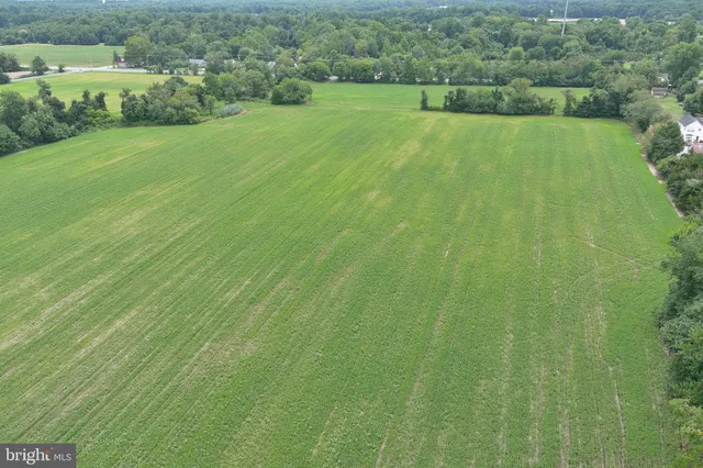 a view of a green field with plants in it