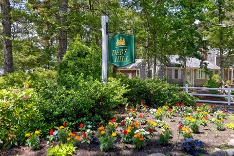 a view of a garden with flowers and flowers