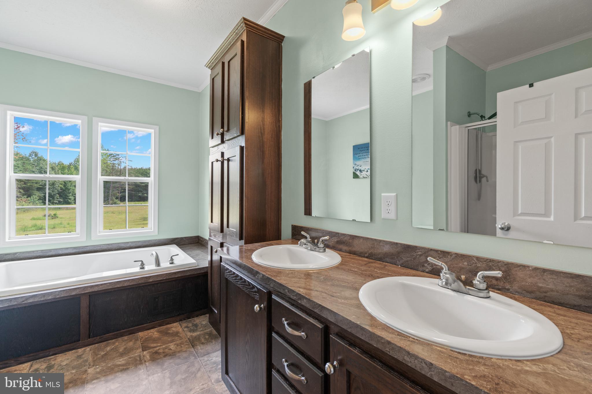 10441 Edenton Road Partlow, VA 22534 - Photo 17 of 27 Tremendous primary bathroom
