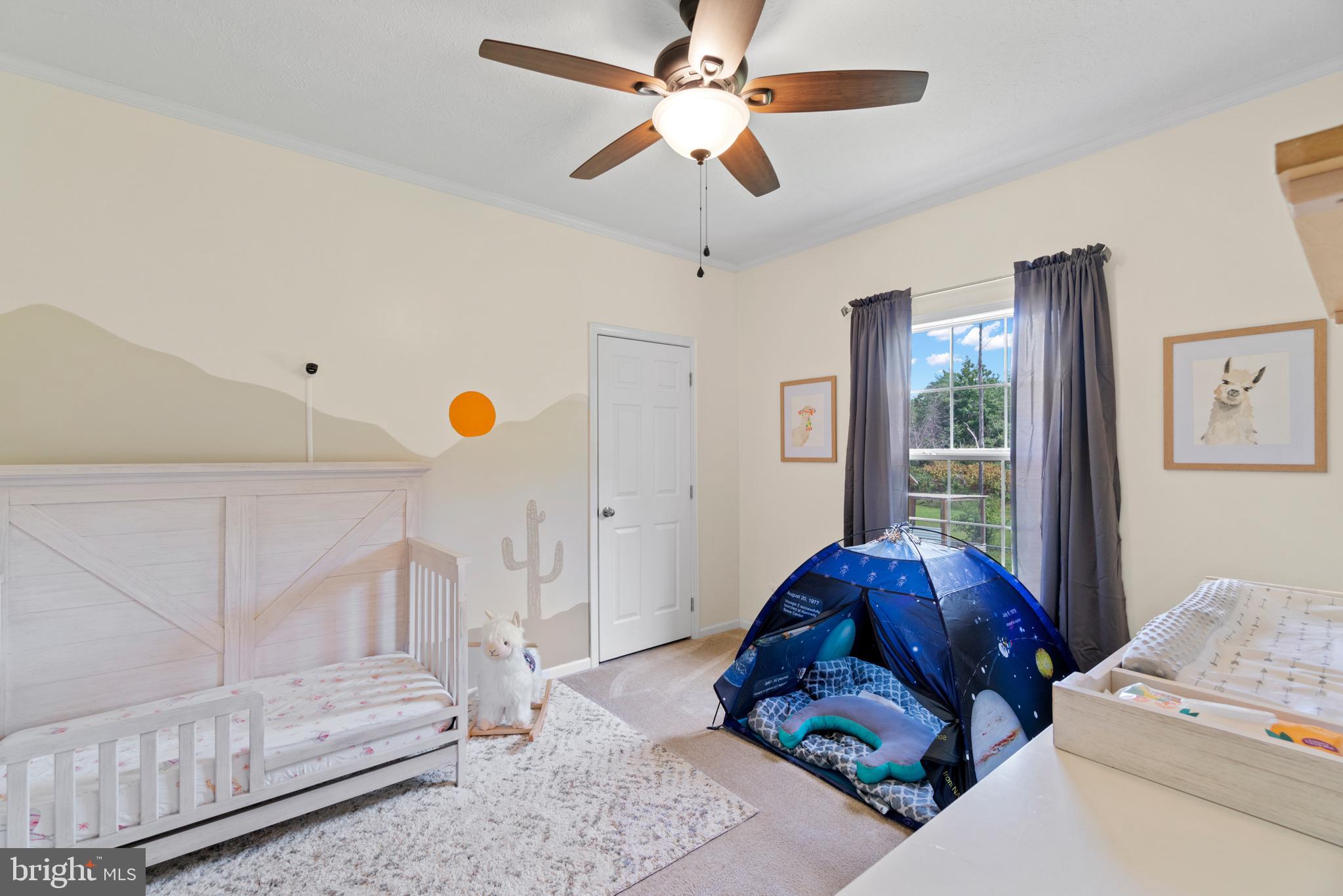 10441 Edenton Road Partlow, VA 22534 - Photo 21 of 27 3rd bedroom