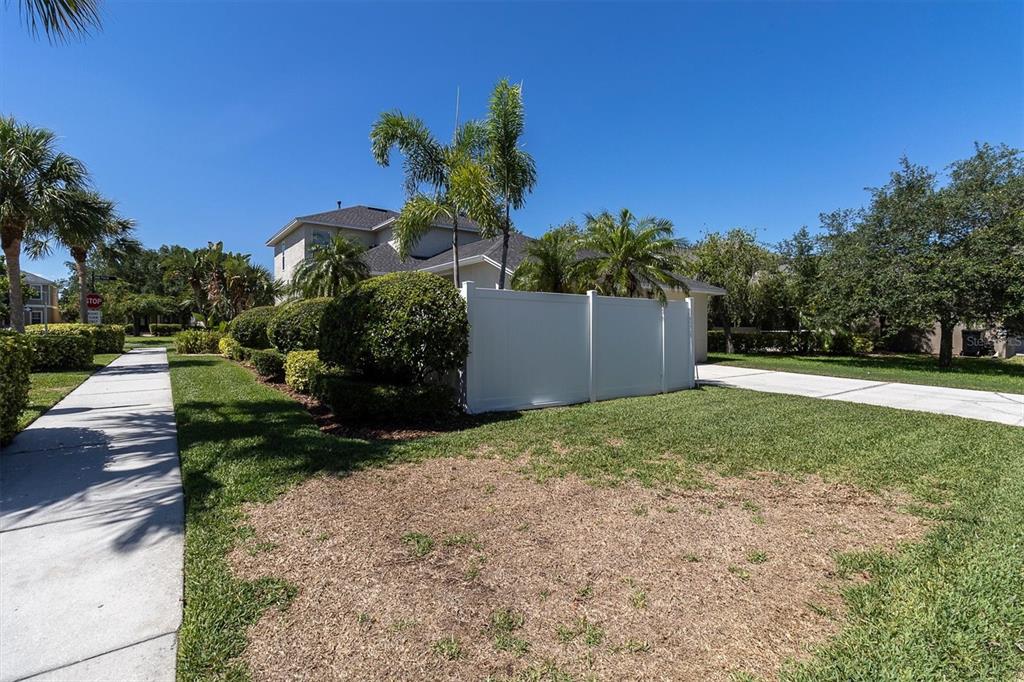 10121 Porch Street New Port Richey, FL 34655 - Photo 43 of 57 a backyard of a house with lots of green space