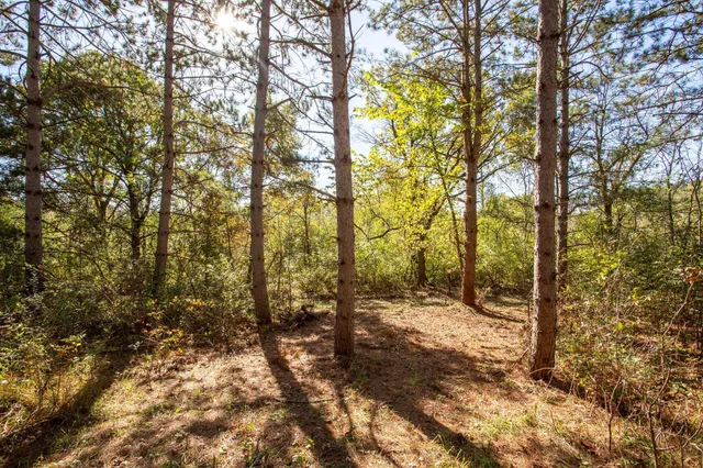 $725,000 | Lot 5 Riverdale Court, Somerset, WI 54025