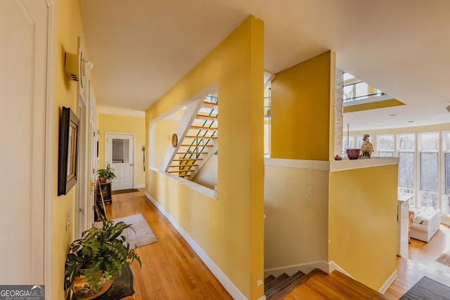 a view of a tree in a garden