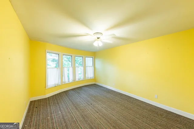 a view of a forest with trees in the background