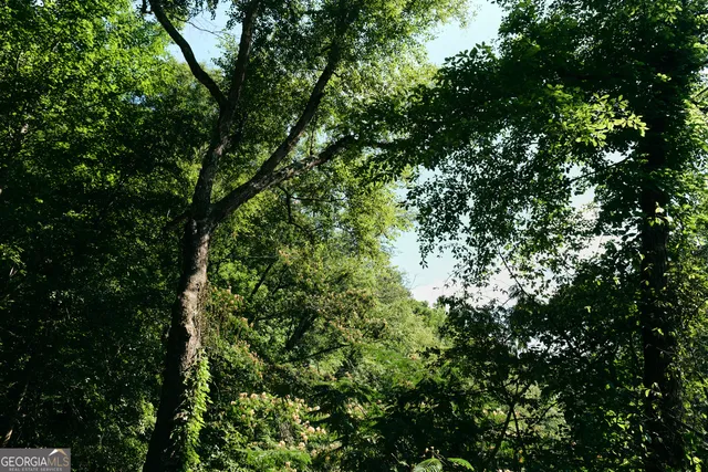 $429,900 | 177 Antler Drive, Thomaston, GA 30286