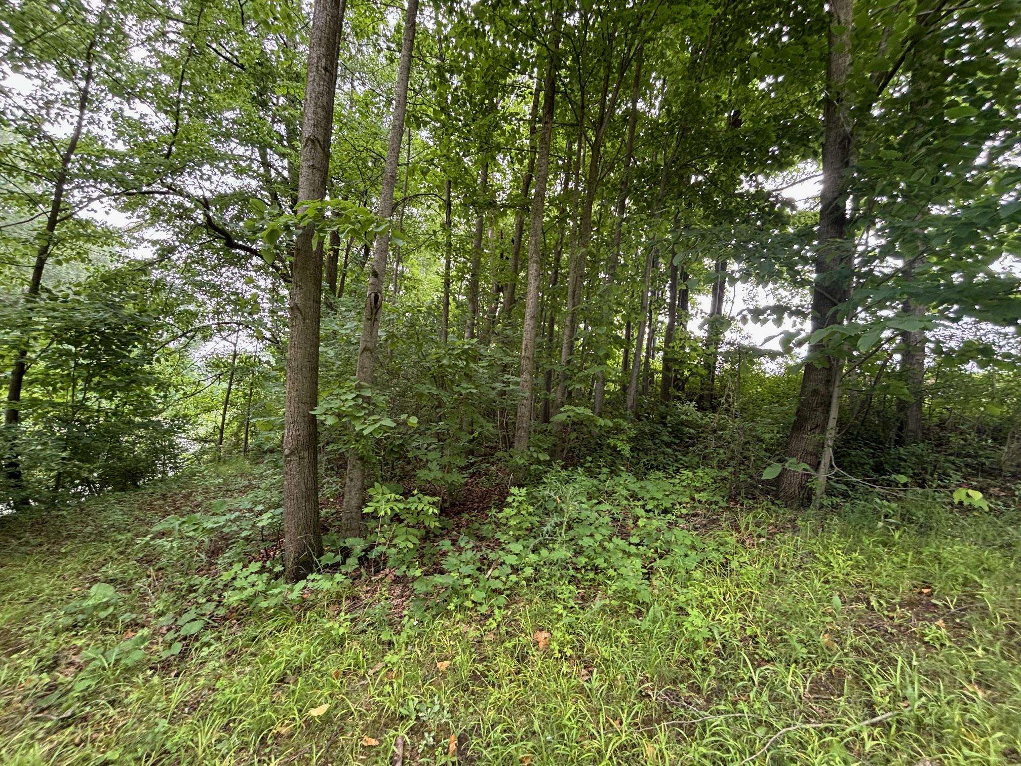 4141 Wieman Road Beaverton, MI 48612 - Photo 5 of 5