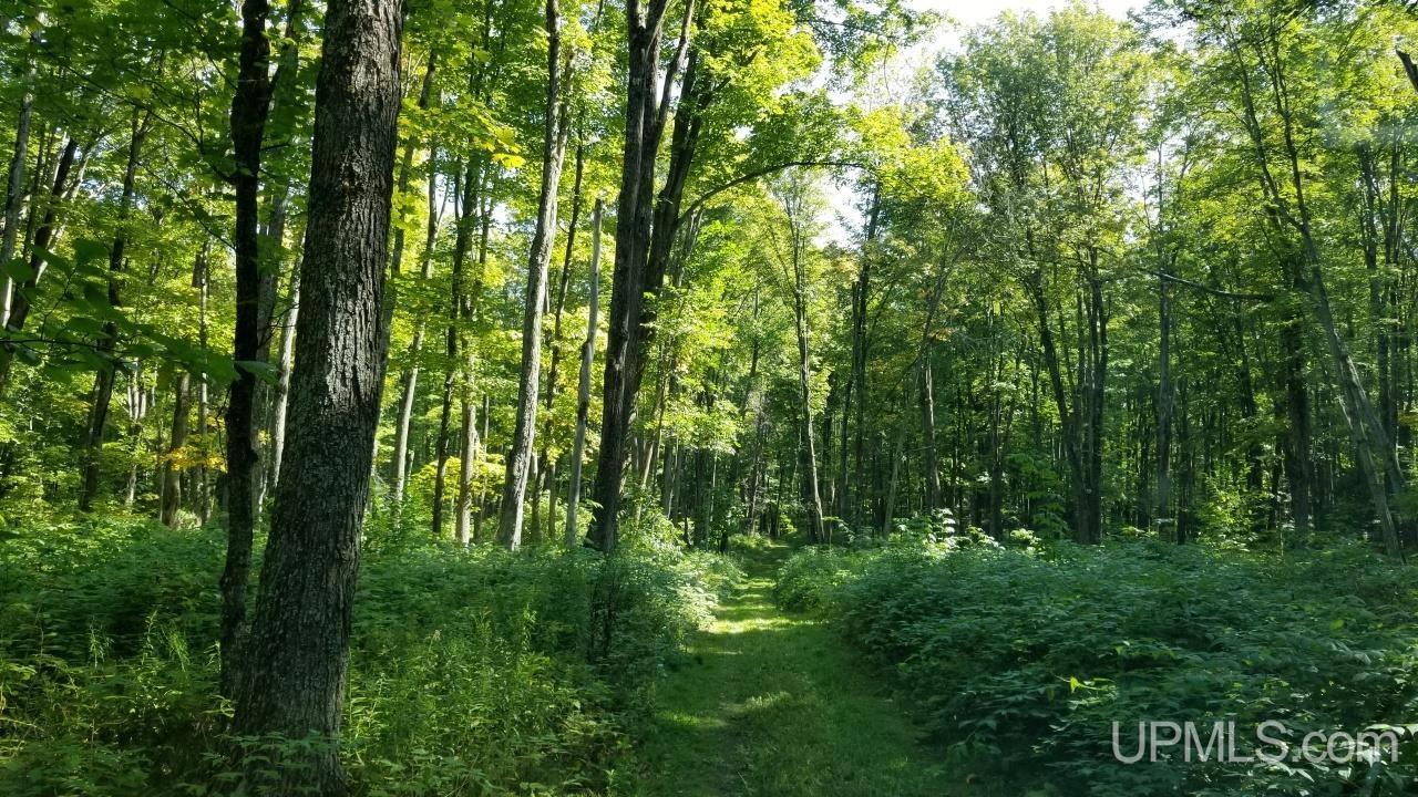 217 Reiman Road Iron River, MI 49935 - Photo 73 of 76