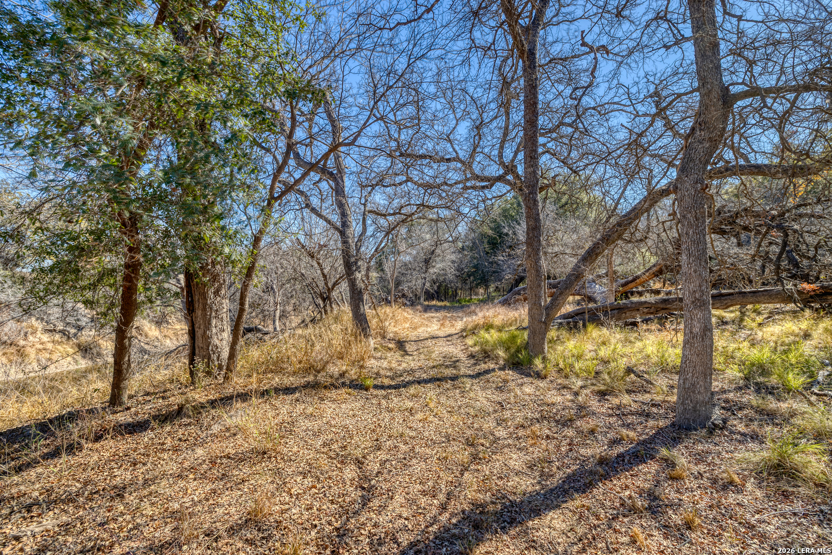 1140 Curtis Bourne Road Crystal City, TX 78839 - Photo 34 of 54 a view of yard covered with snow