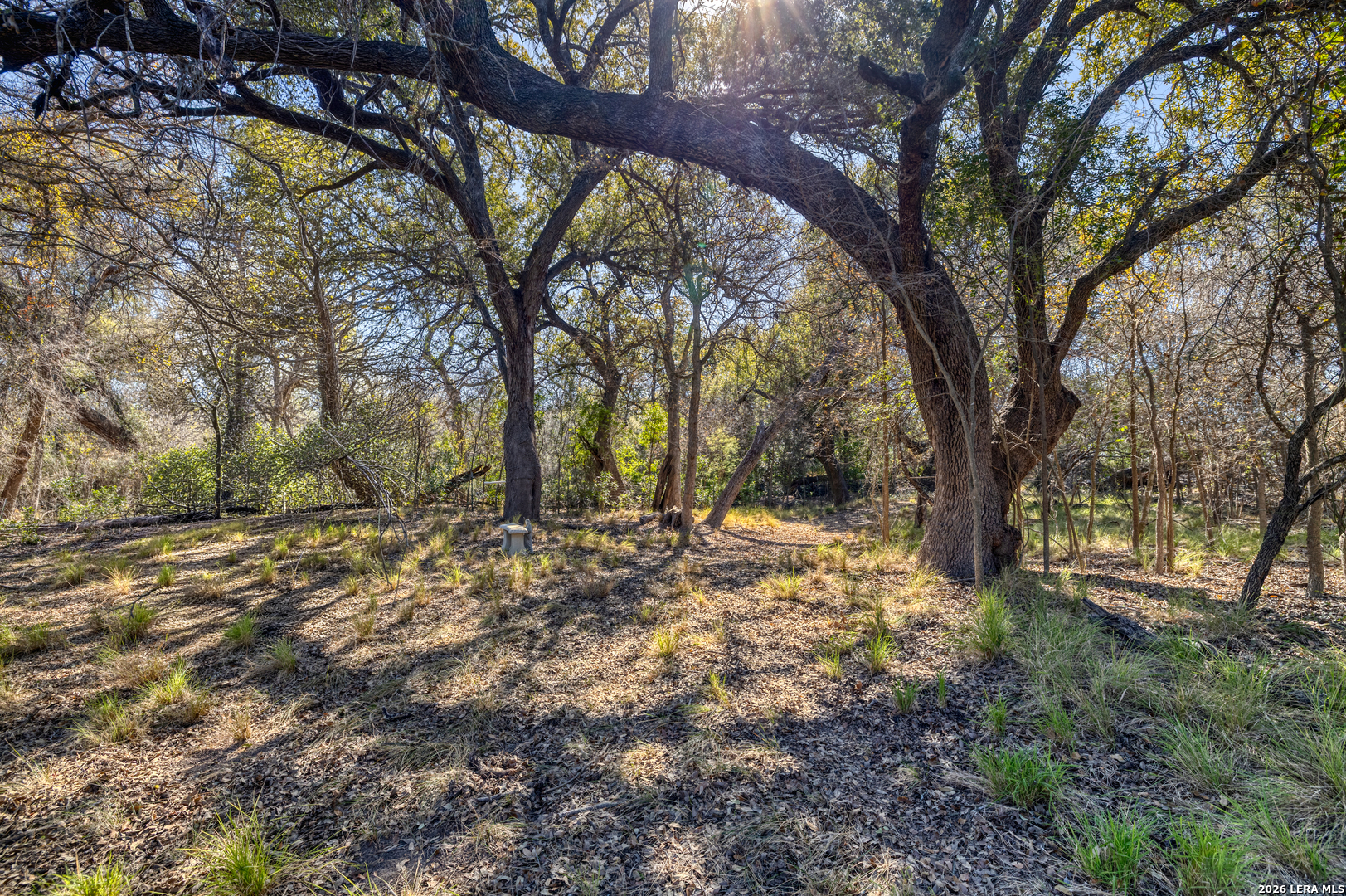 1140 Curtis Bourne Road Crystal City, TX 78839 - Photo 35 of 54 a view of outdoor space and yard