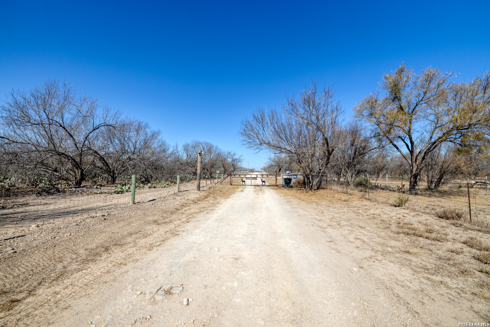 1140 Curtis Bourne Road Crystal City, TX 78839 - Photo 4 of 54 a view of a snow with yard