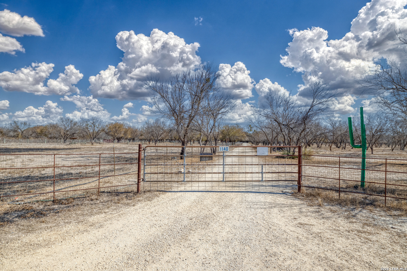1140 Curtis Bourne Road Crystal City, TX 78839 - Photo 5 of 54 a view of backyard with tree
