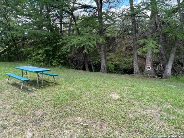 a garden with wooden fence