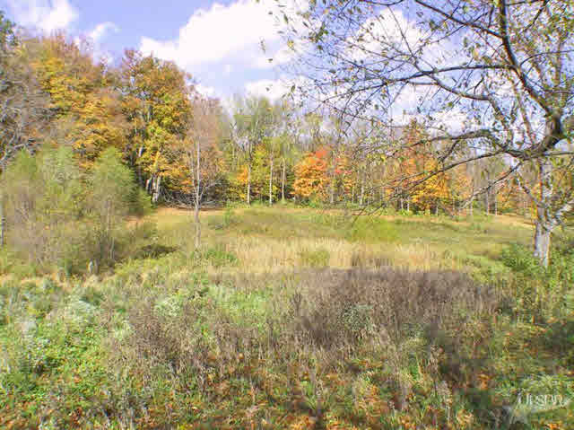 7132 West Hamilton Road South Roanoke, IN 46783 - Photo 4 of 21