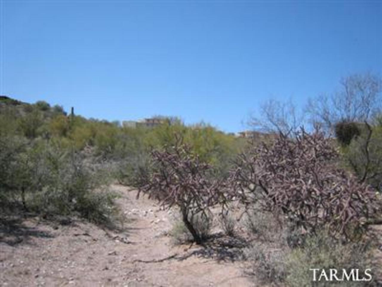 5215 North Kolb Road Tucson, AZ 85750 - Photo 2 of 6 Gallery Image 2