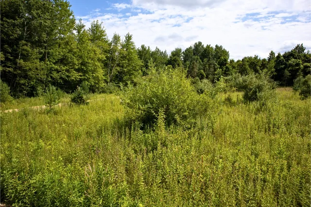 $40,000 | Vl 104th Avenue, Allegan, MI 49010