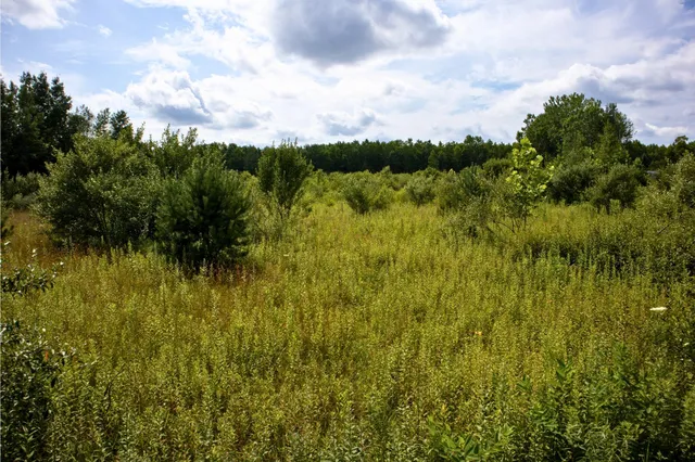 $40,000 | Vl 104th Avenue, Allegan, MI 49010