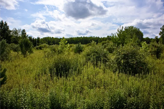 $40,000 | Vl 104th Avenue, Allegan, MI 49010