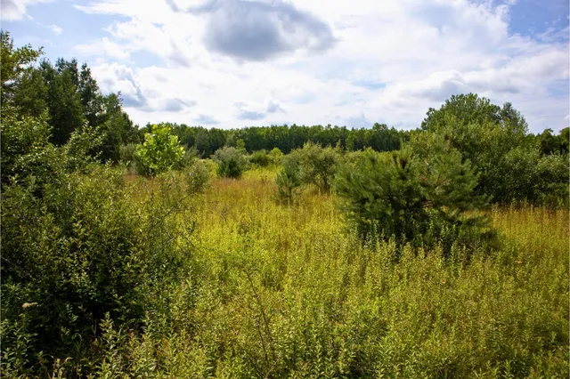 $40,000 | Vl 104th Avenue, Allegan, MI 49010