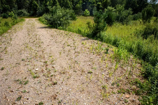 $40,000 | Vl 104th Avenue, Allegan, MI 49010