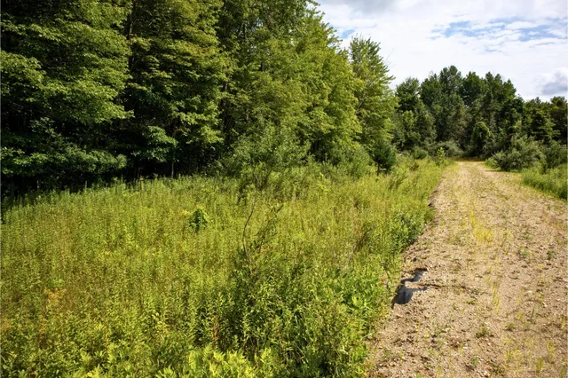 $40,000 | Vl 104th Avenue, Allegan, MI 49010