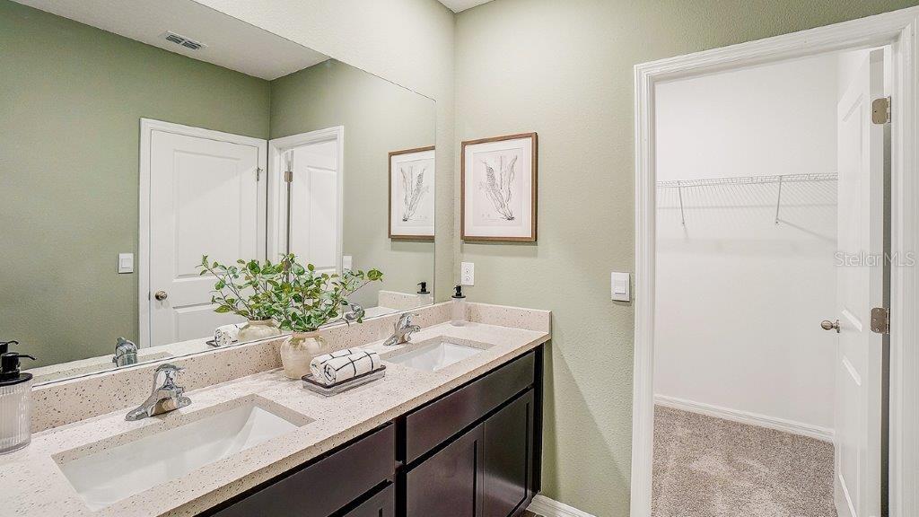 31107 Paper Birch Street Wesley Chapel, FL 33545 - Photo 12 of 15 a bathroom with a sink and a mirror