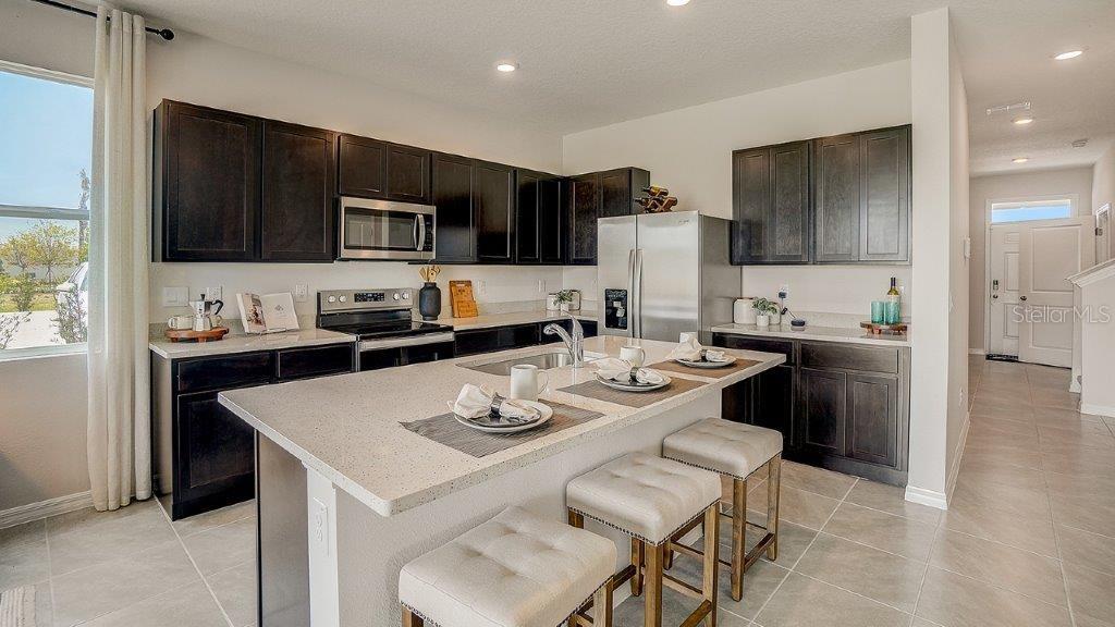 31107 Paper Birch Street Wesley Chapel, FL 33545 - Photo 6 of 15 a kitchen with stainless steel appliances a stove a sink a microwave a refrigerator and cabinets