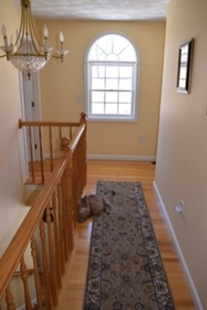 255 Playstead Road Medford, MA 02155 - Photo 19 of 30 Gallery Image 19
