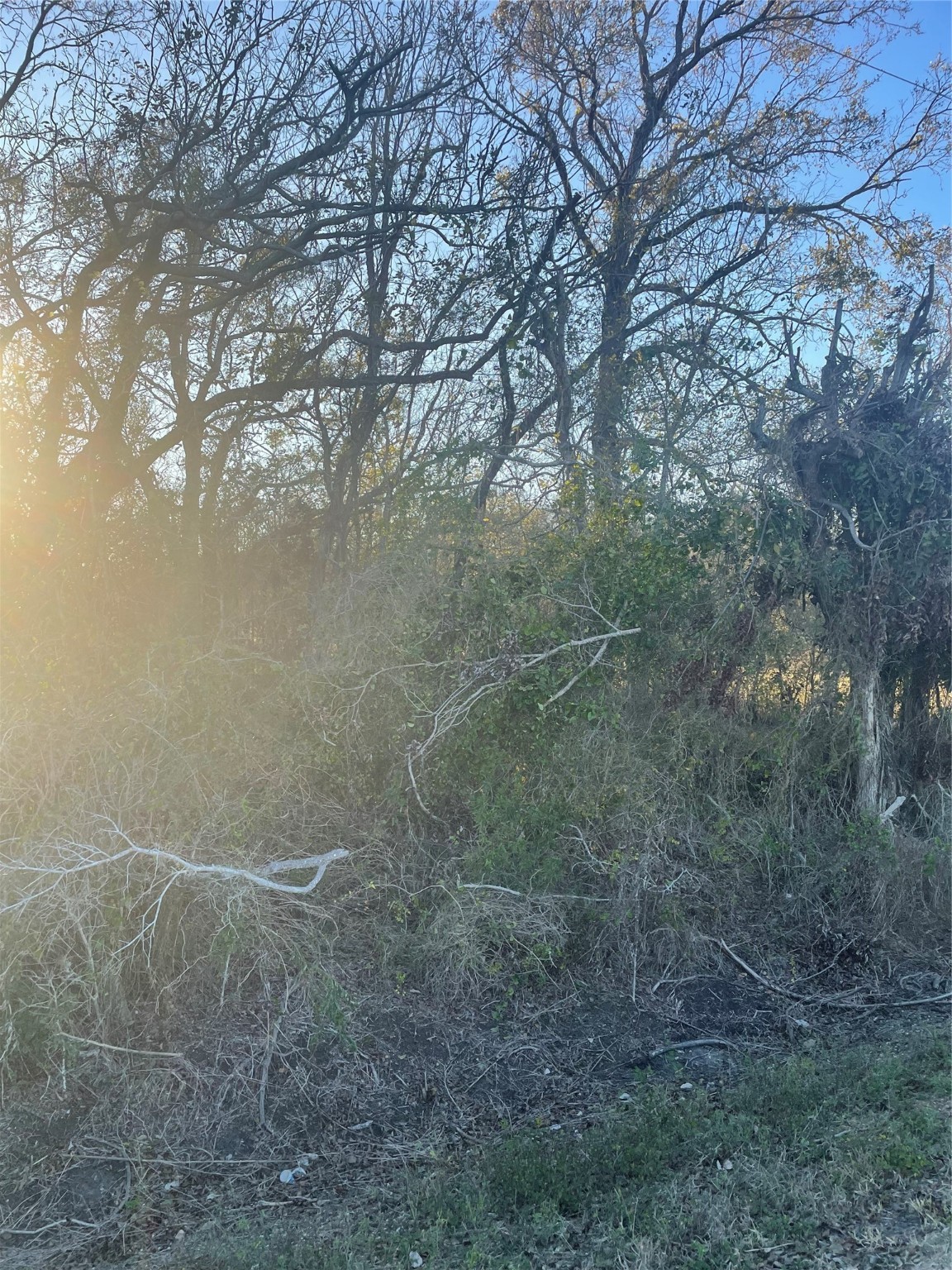 0 County Road 428 Wharton, TX 77488 - Photo 4 of 7 a view of a dry yard