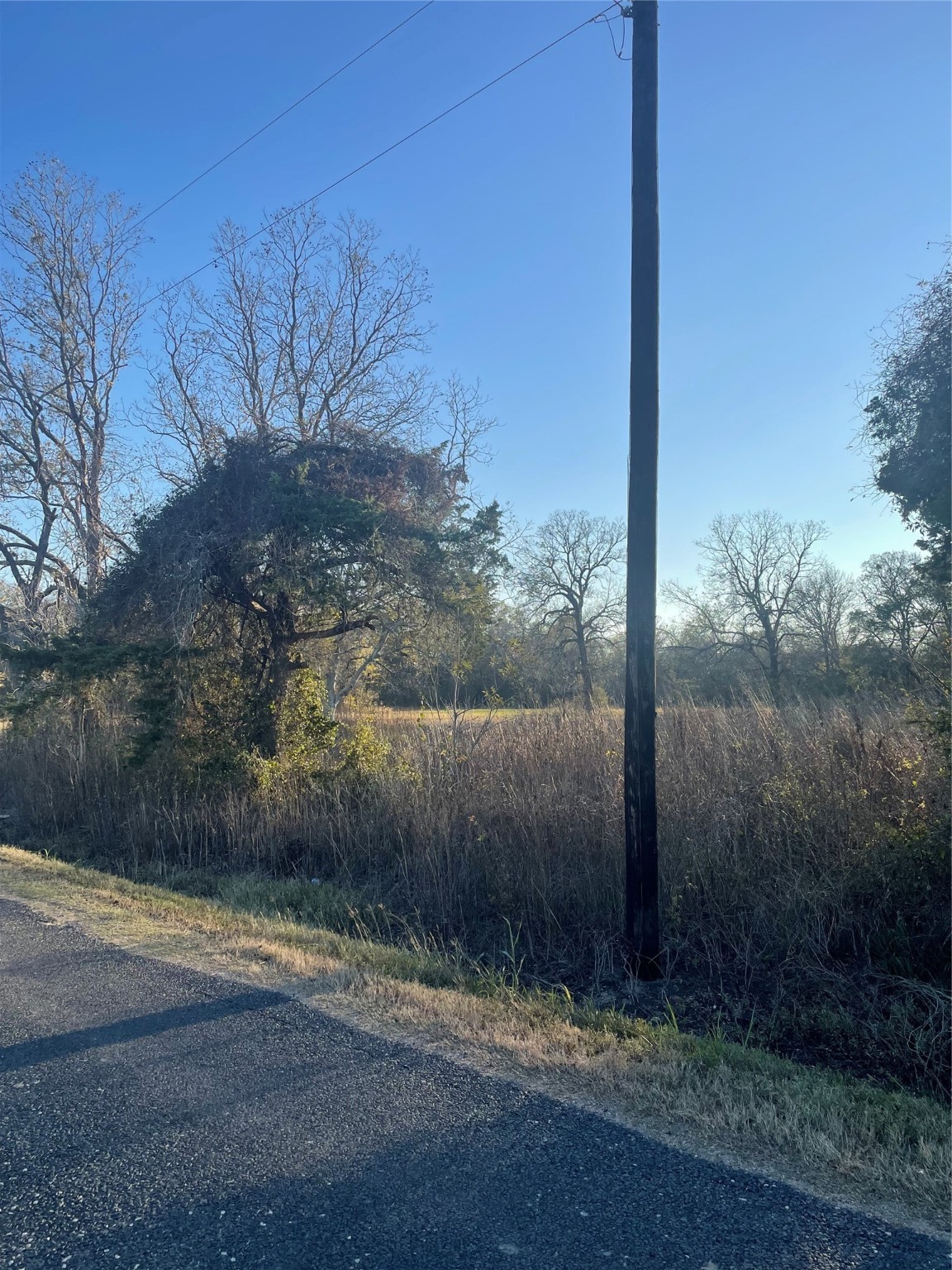 0 County Road 428 Wharton, TX 77488 - Photo 7 of 7 a view of a yard