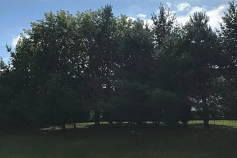 694 Ridge Drive Elburn, IL 60119 - Photo 14 of 48