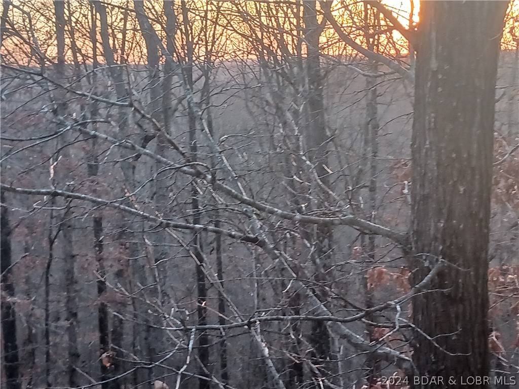 Tbd Fresno Road Versailles, MO 65084 - Photo 2 of 2