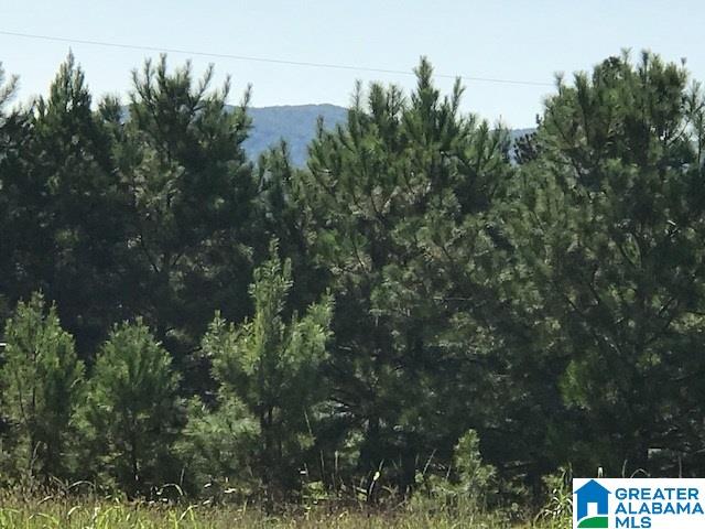9 Easy Street Anniston, AL 36207 - Photo 6 of 22