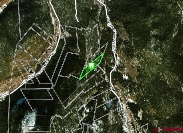 a close up of a plant