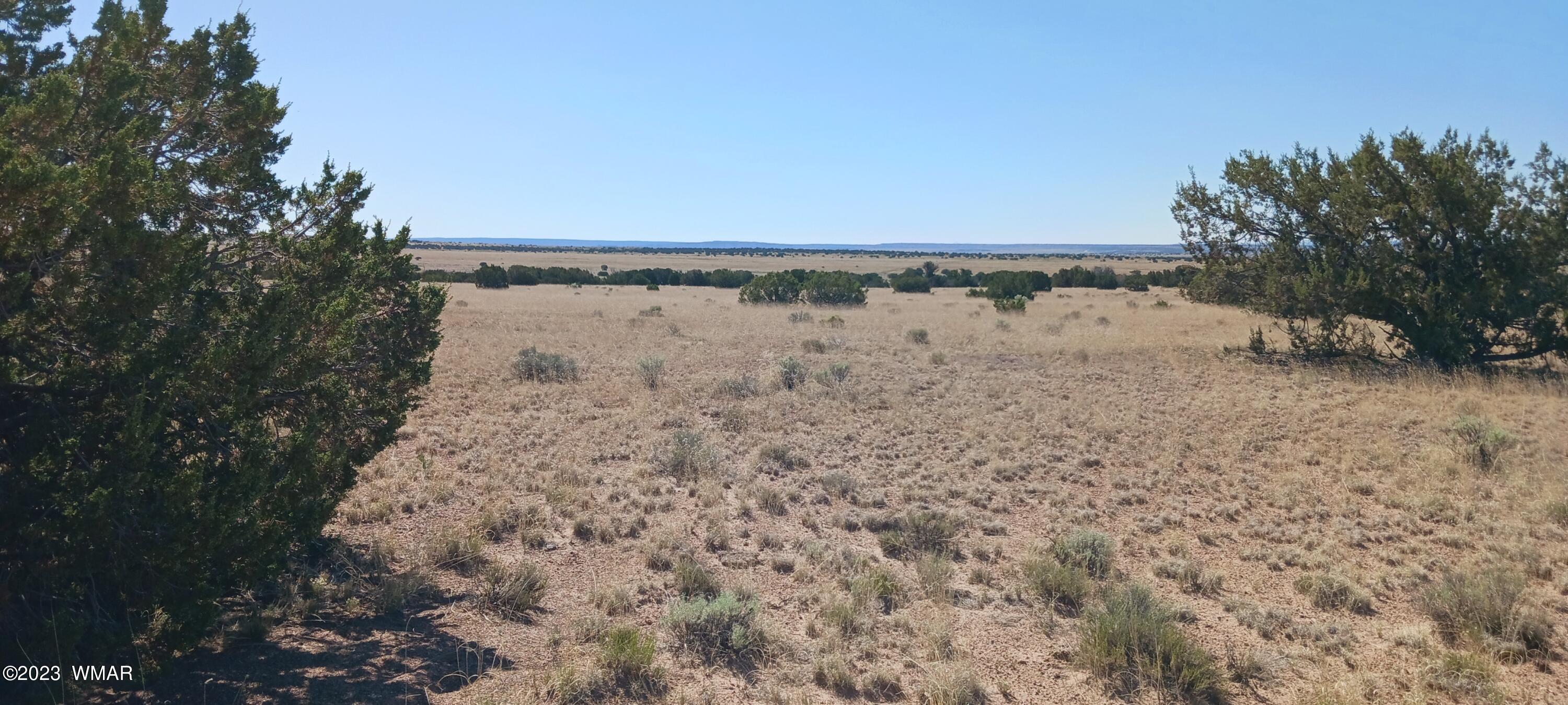 Lot 367 (red Sky Ranches) St. Johns, AZ 85936 - Photo 11 of 35