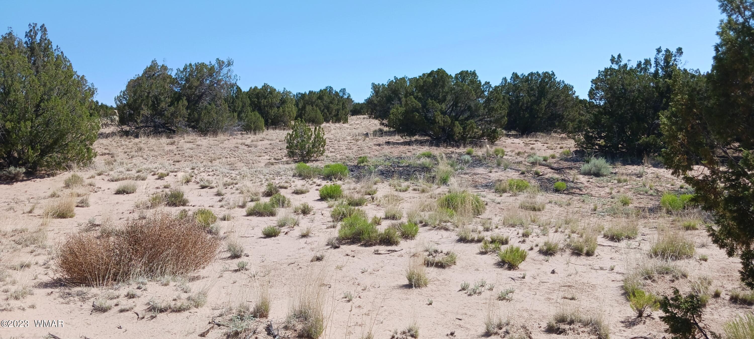 Lot 367 (red Sky Ranches) St. Johns, AZ 85936 - Photo 12 of 35