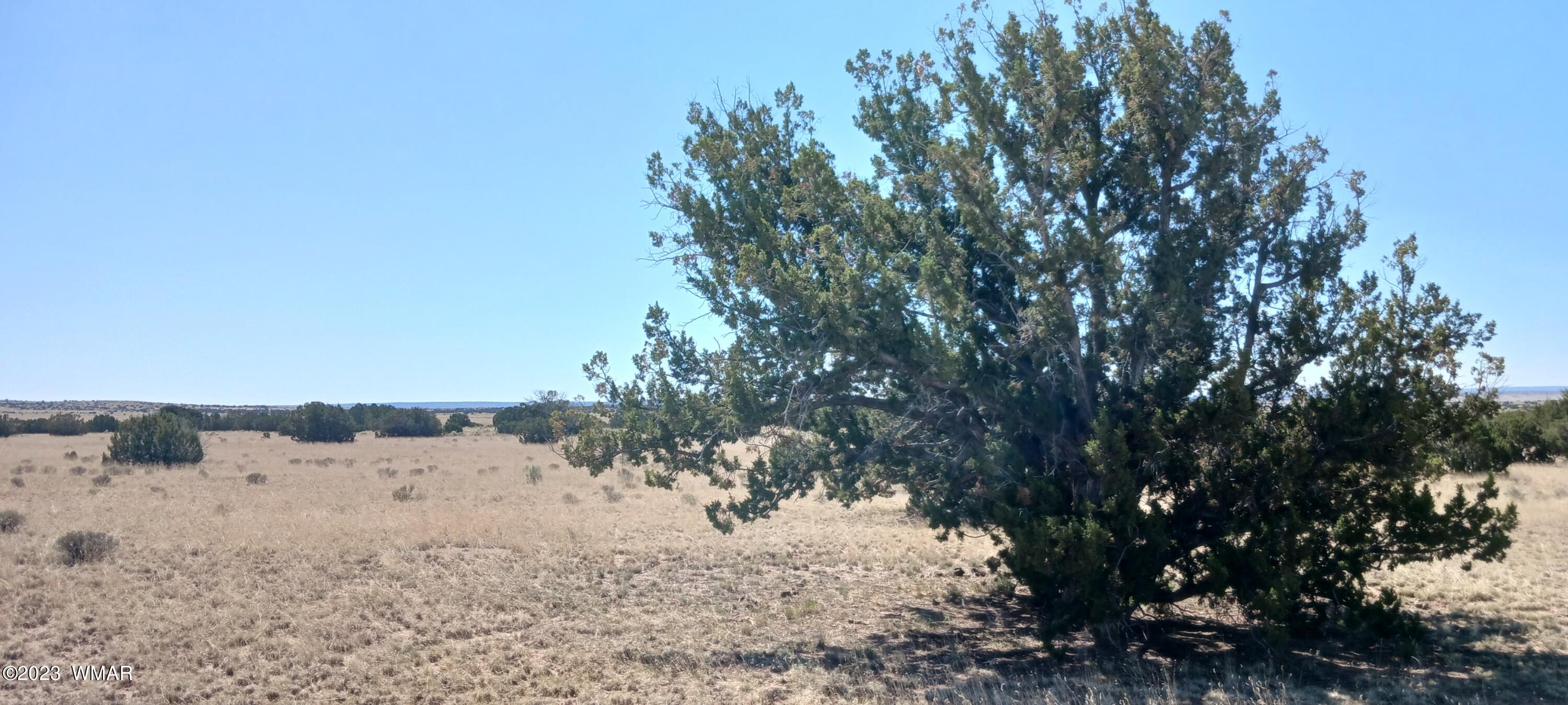 Lot 367 (red Sky Ranches) St. Johns, AZ 85936 - Photo 13 of 35