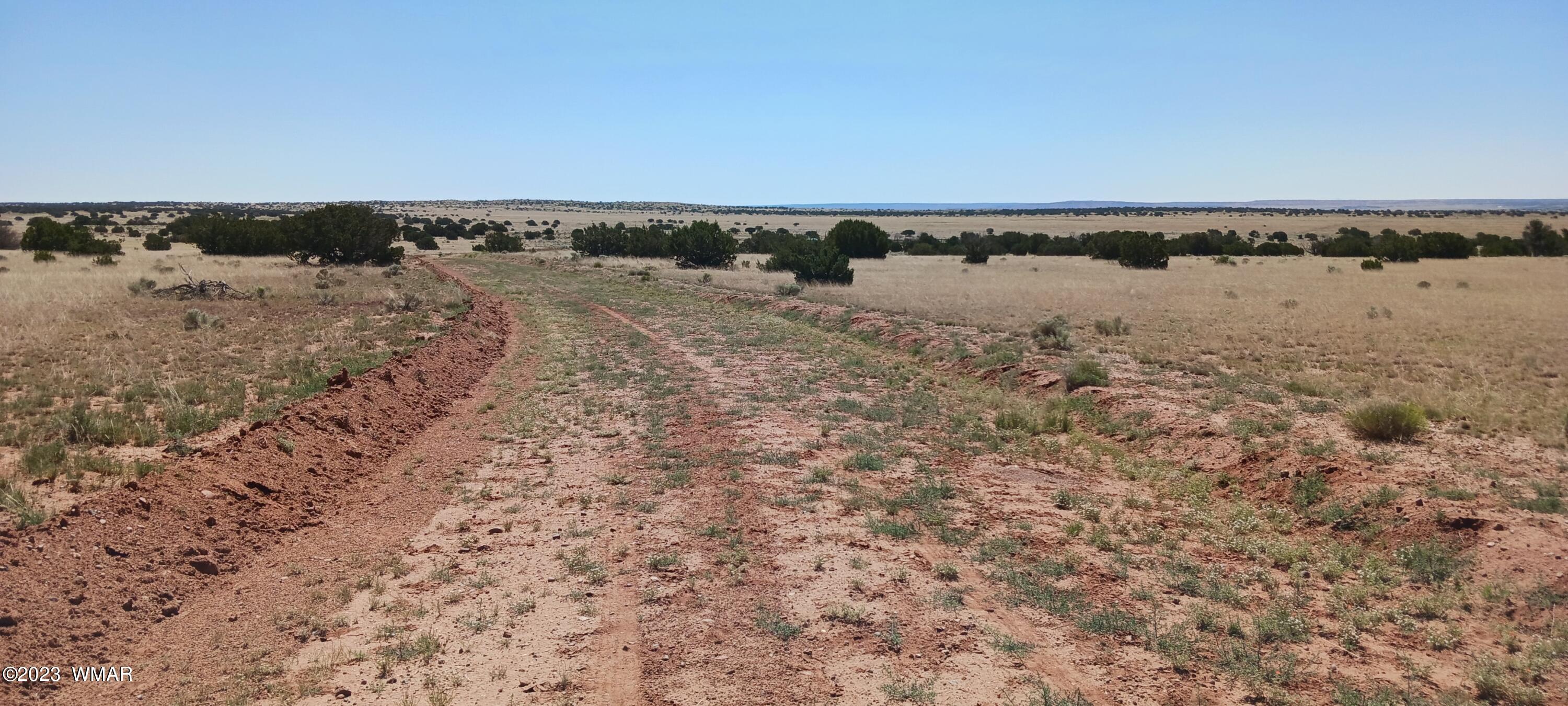 Lot 367 (red Sky Ranches) St. Johns, AZ 85936 - Photo 16 of 35