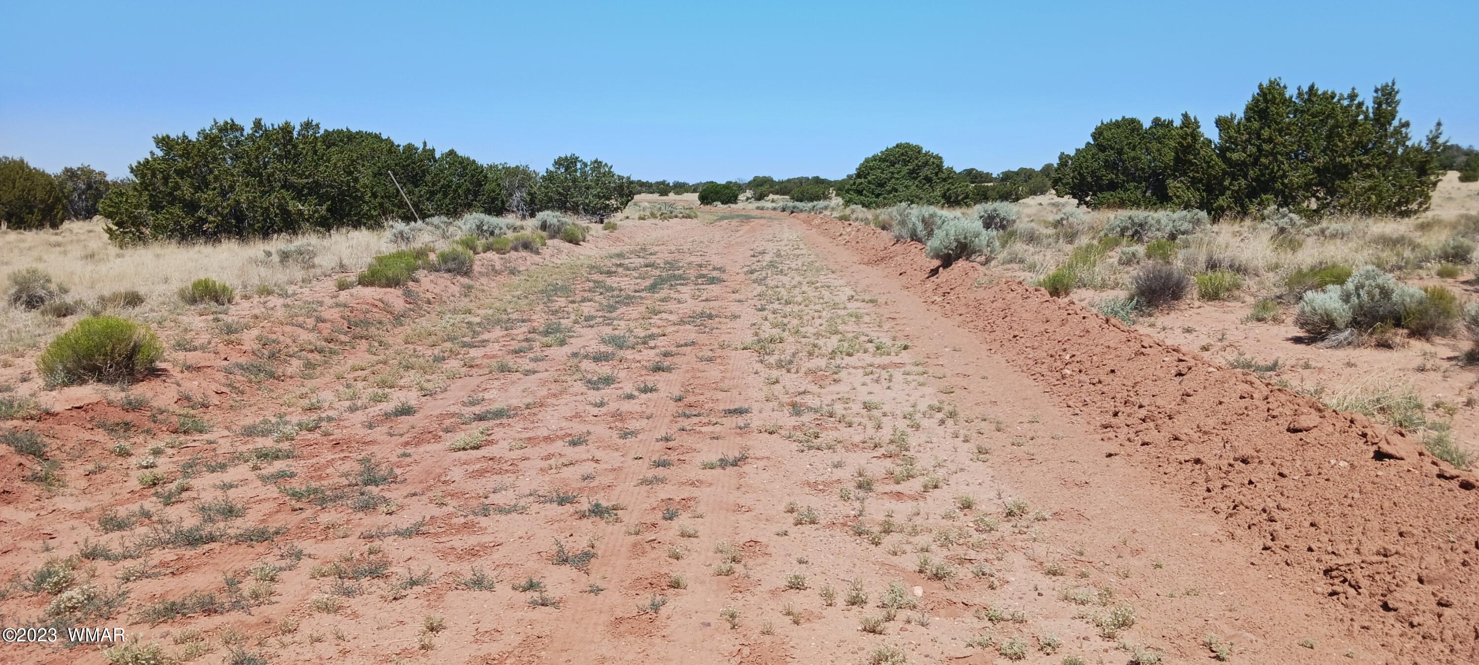 Lot 367 (red Sky Ranches) St. Johns, AZ 85936 - Photo 17 of 35