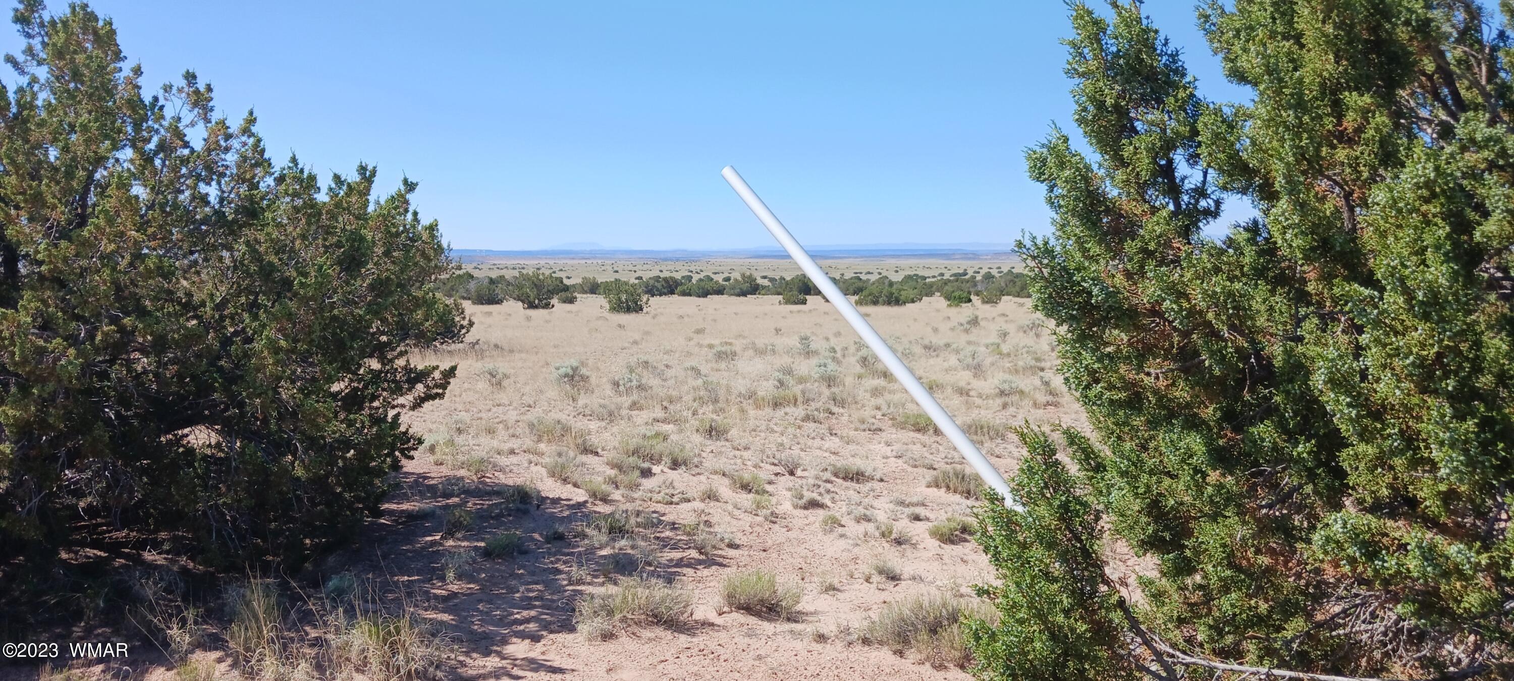 Lot 367 (red Sky Ranches) St. Johns, AZ 85936 - Photo 18 of 35