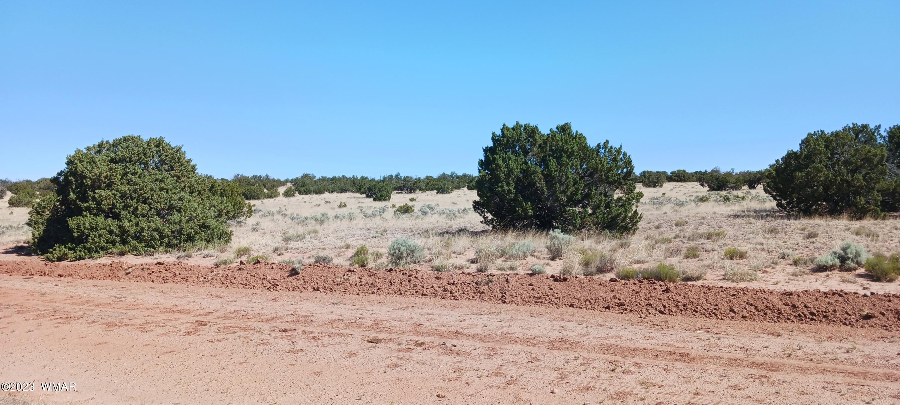 Lot 367 (red Sky Ranches) St. Johns, AZ 85936 - Photo 19 of 35