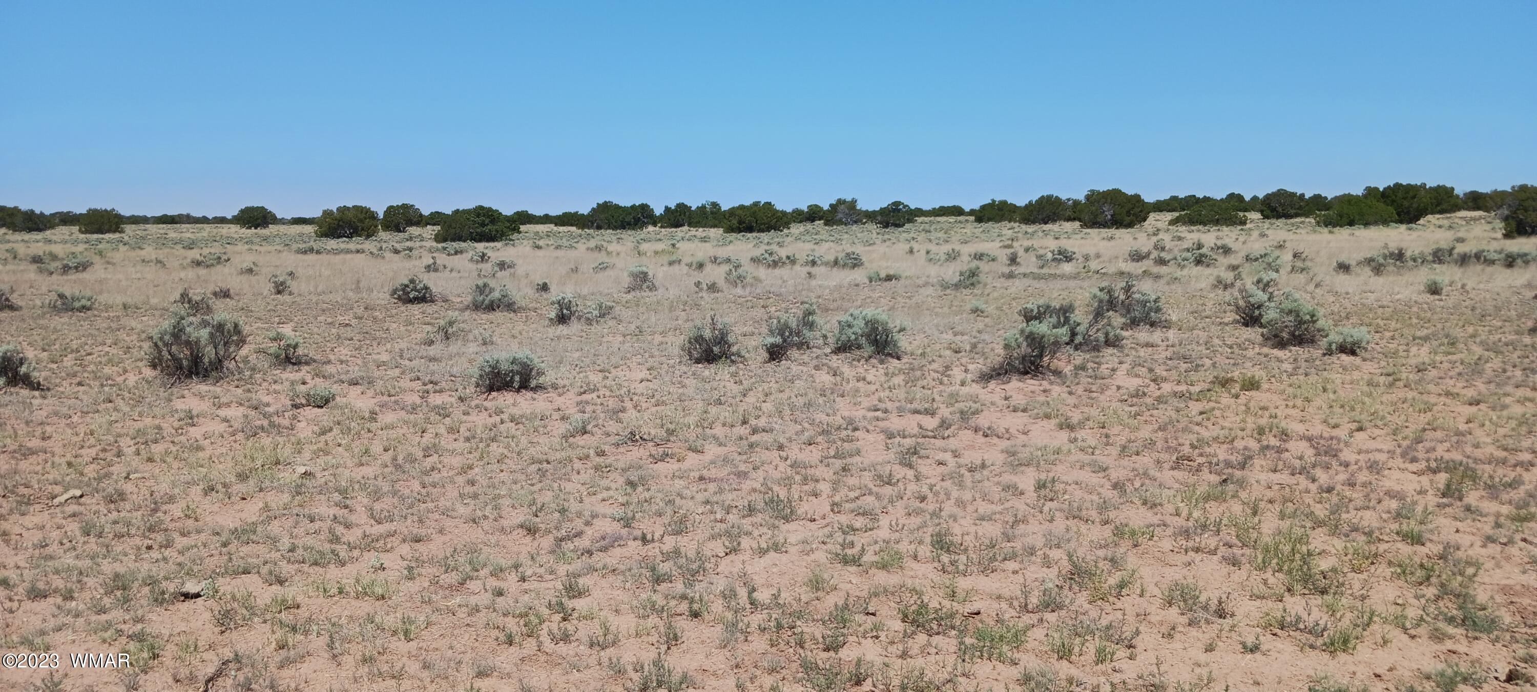 Lot 367 (red Sky Ranches) St. Johns, AZ 85936 - Photo 20 of 35