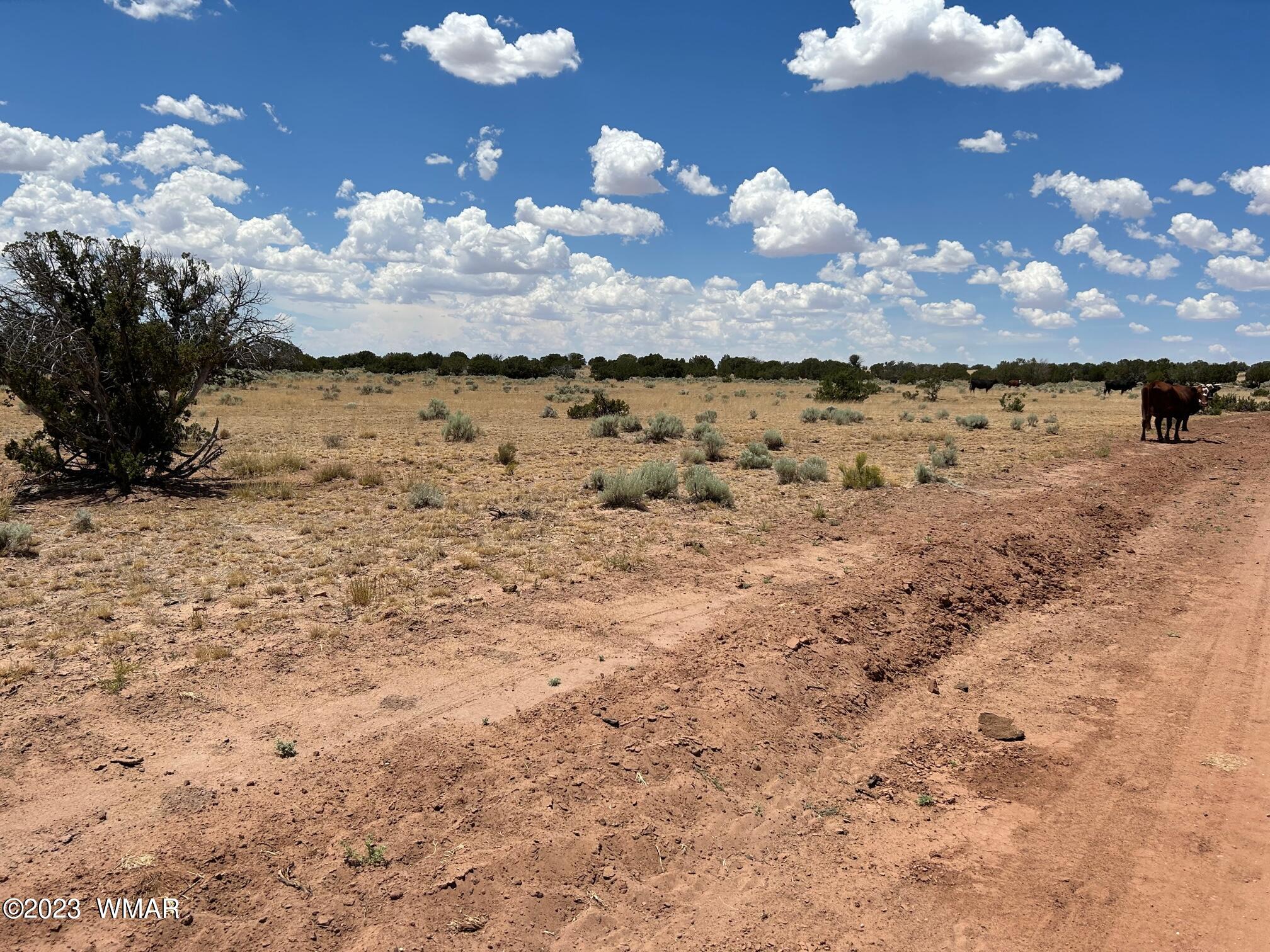 Lot 367 (red Sky Ranches) St. Johns, AZ 85936 - Photo 2 of 35