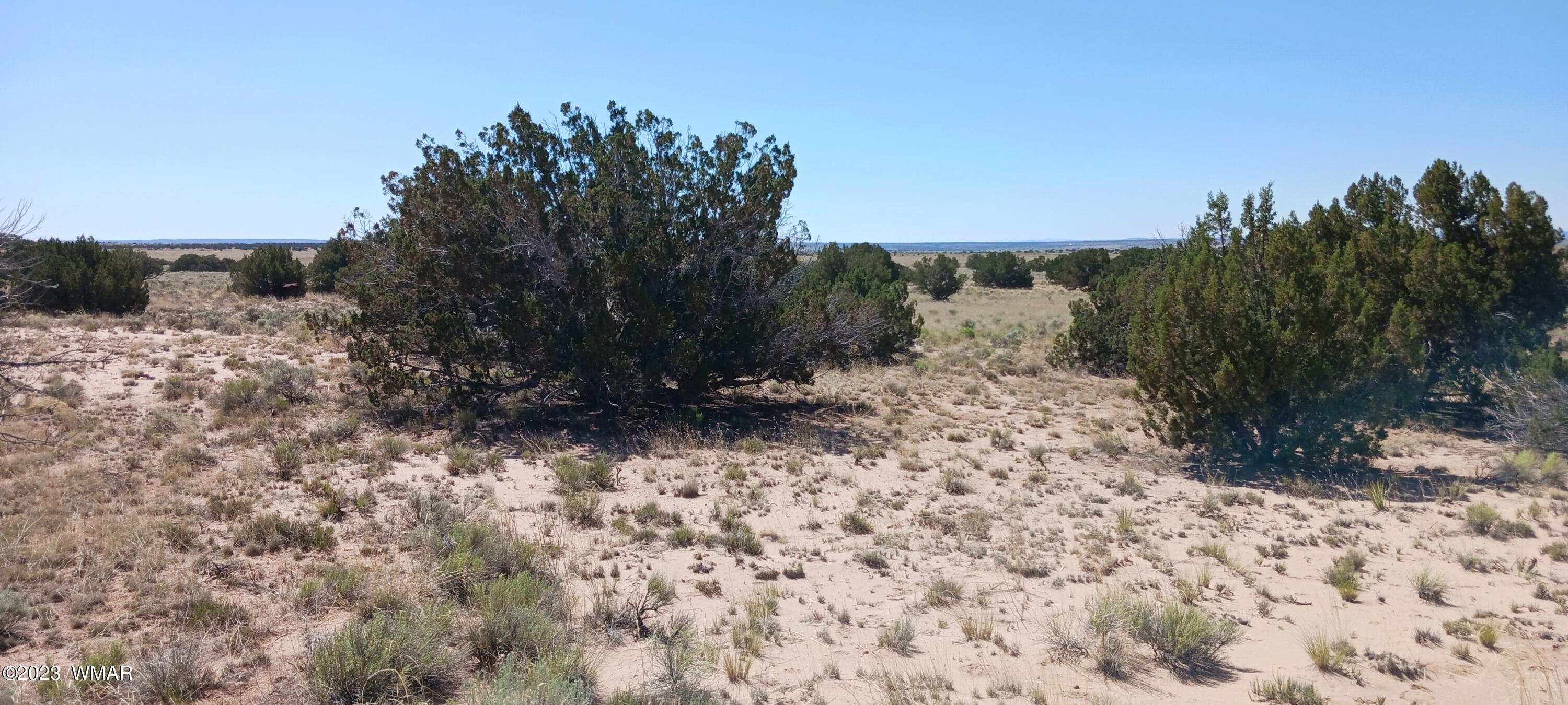 Lot 367 (red Sky Ranches) St. Johns, AZ 85936 - Photo 21 of 35