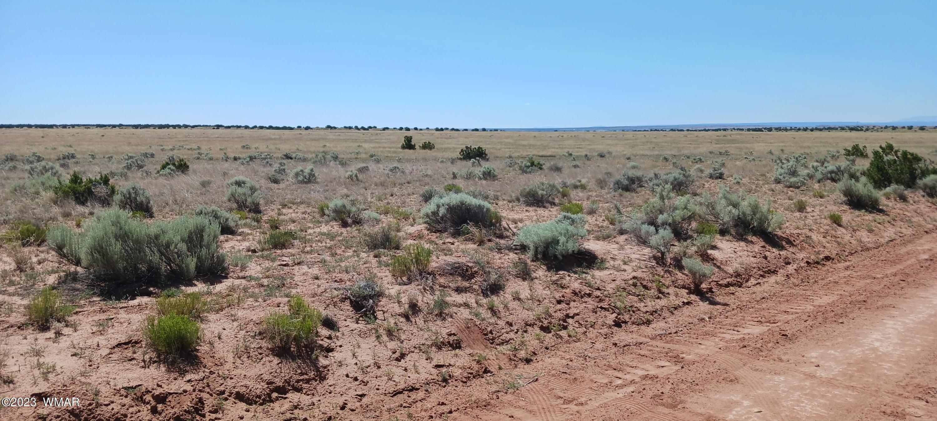 Lot 367 (red Sky Ranches) St. Johns, AZ 85936 - Photo 22 of 35