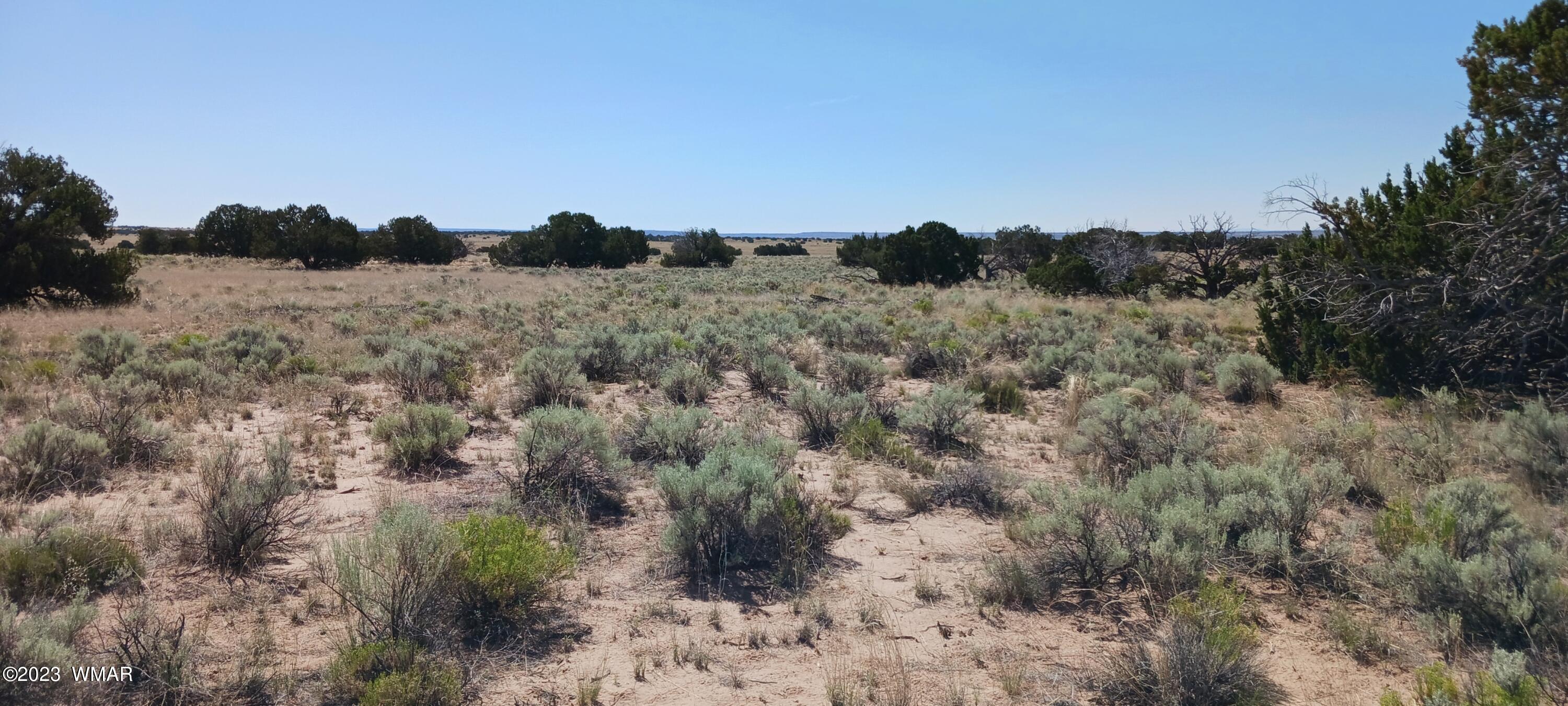 Lot 367 (red Sky Ranches) St. Johns, AZ 85936 - Photo 23 of 35
