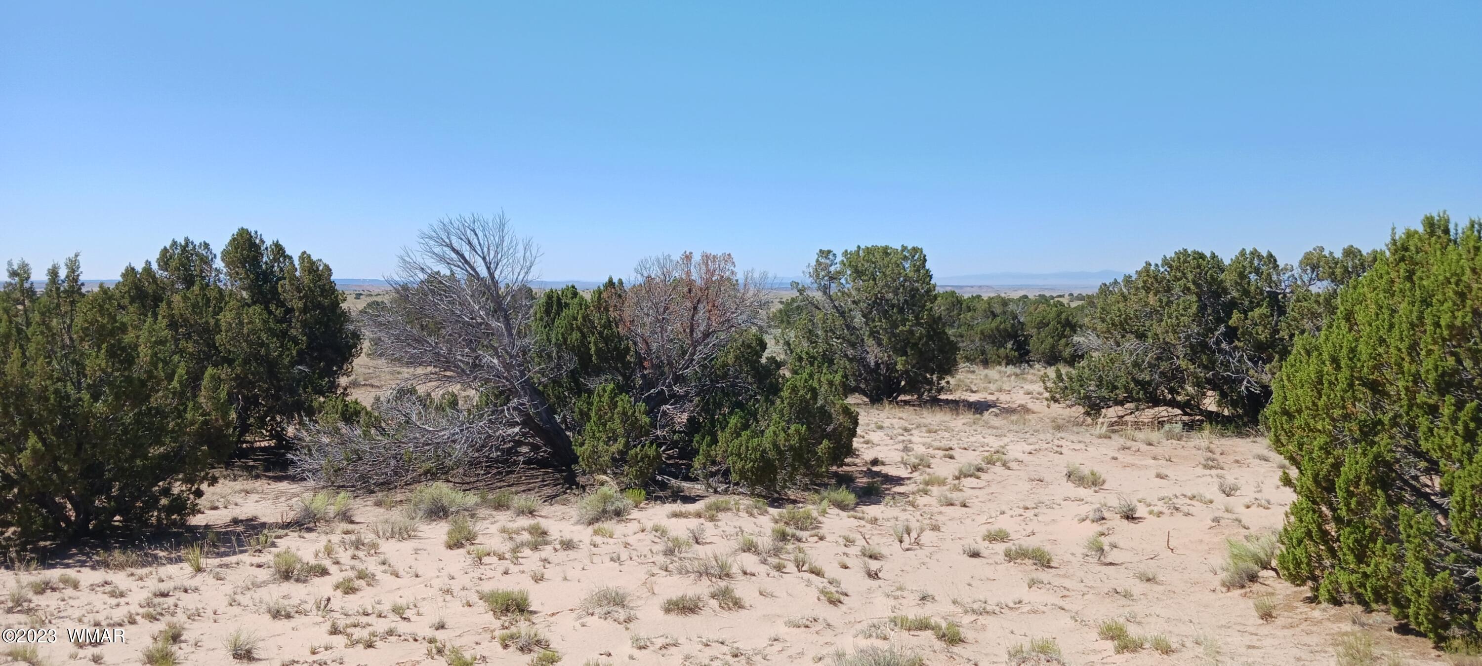 Lot 367 (red Sky Ranches) St. Johns, AZ 85936 - Photo 24 of 35