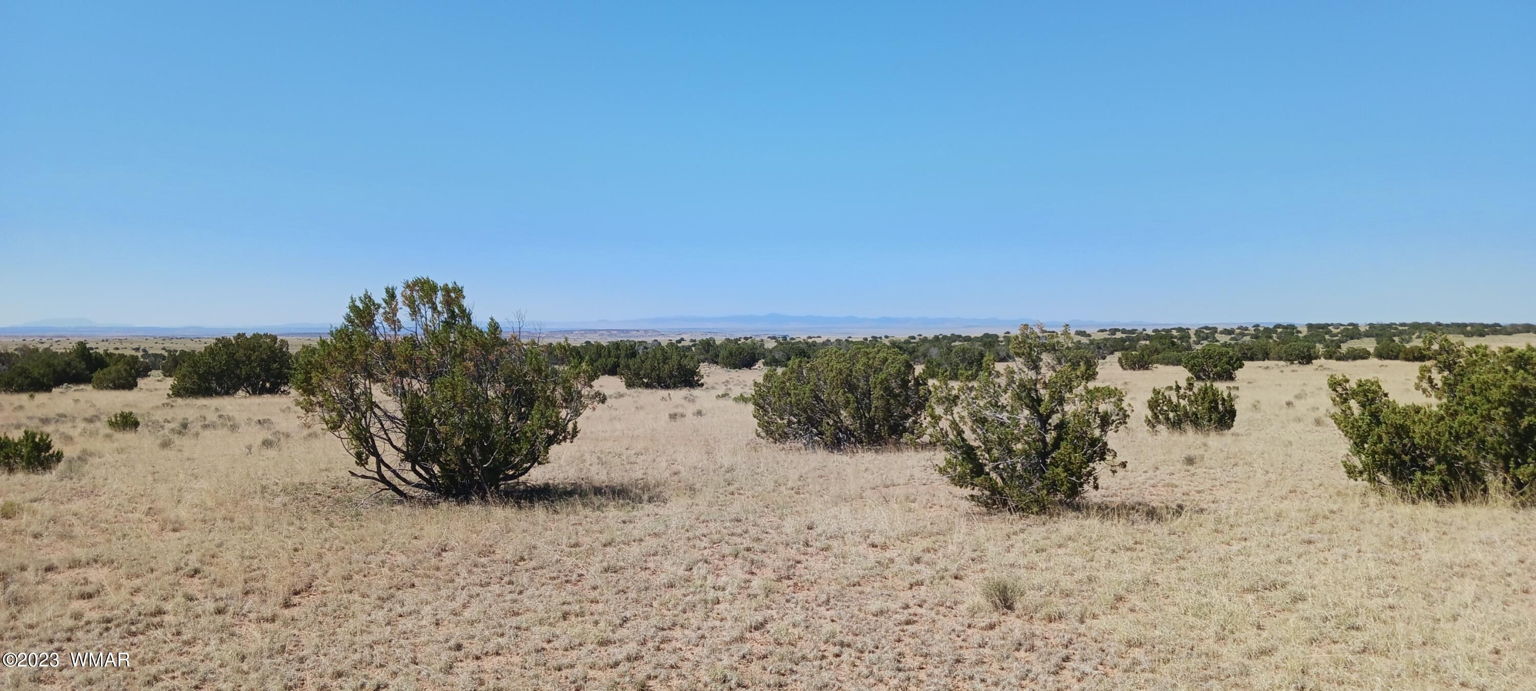 Lot 367 (red Sky Ranches) St. Johns, AZ 85936 - Photo 25 of 35